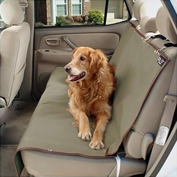 1ec8992e-f3e0-4812-8552-d0772ef6bc49_0