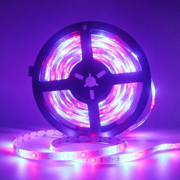 aea49888-d408-4c7f-9fc2-a4b69a94a733_1