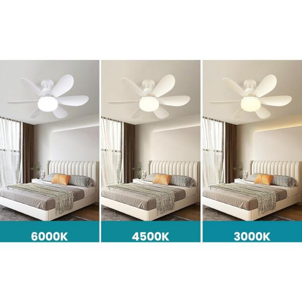 c6998349-ec60-4dbc-85bd-1c044fc9a919_1