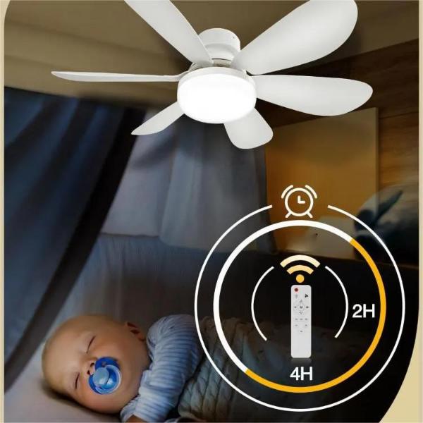 c6998349-ec60-4dbc-85bd-1c044fc9a919_3